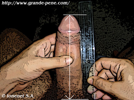 Il modo corretto di misurare la lunghezza del pene in erezione